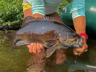 smallmouth-bass