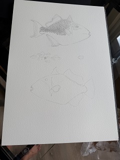 fish-artwork
