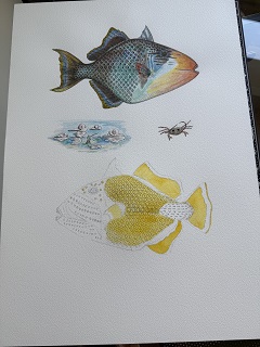 triggerfish-art