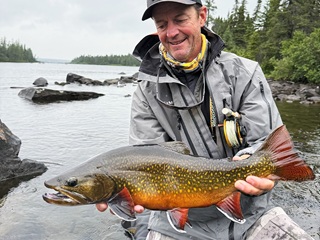 Currier-brook-trout
