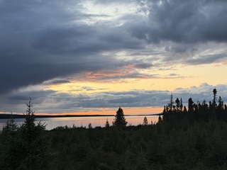 Labrador