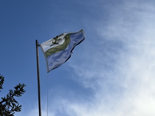 Labrador