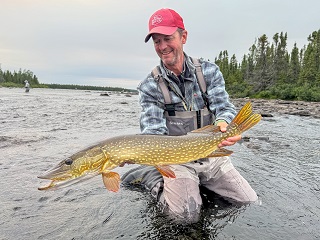 northern-pike-Currier