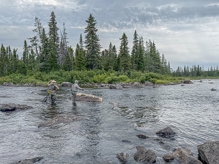 flyfishing-Labrador