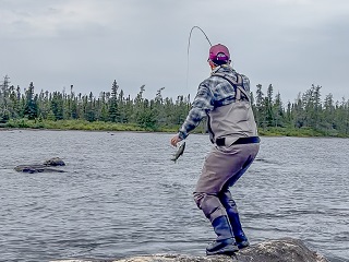 Currier-landlocked-salmon