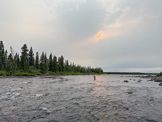 McKenzie-River