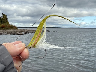 pike-flies