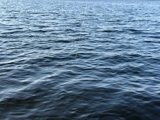big-pike