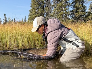huge-pike