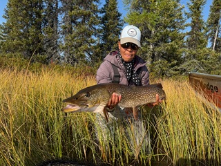 Currier-pike