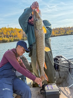 huge-northern-pike