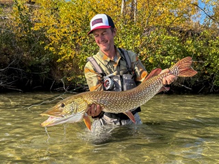 pike-Currier