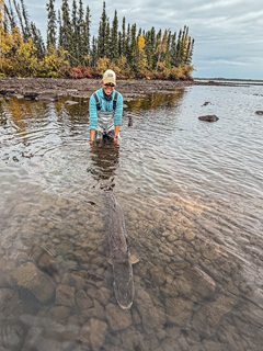catch-and-release