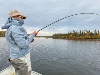 Huge-pike