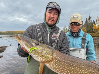 giant-northern-pike