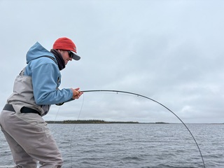Currier-Winston-fly-rods