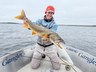 lake-trout-Currier