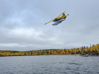 Havilland-Beaver