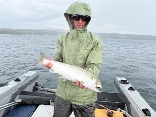 coho-salmon