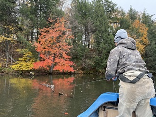 flyfishing-musky