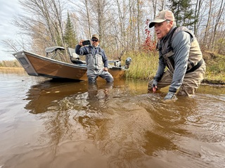 catch-and-release