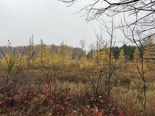flyfishing-Wisconsin