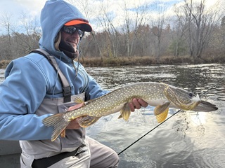 Currier-pike