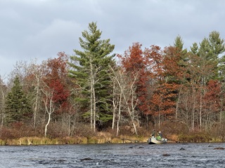 flyfishing-muskies