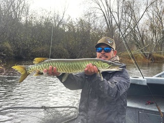 Hulbert-muskies