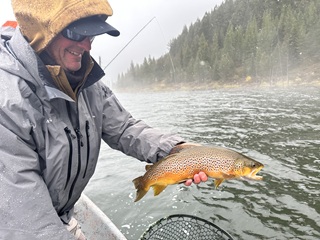 Montana-Currier