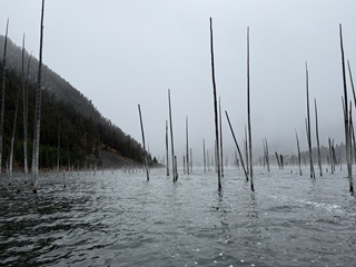 Quake-Lake