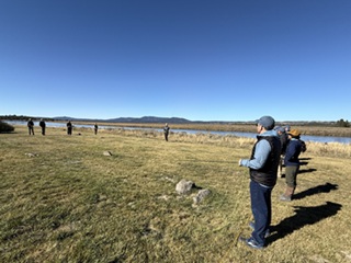 School-of-Trout