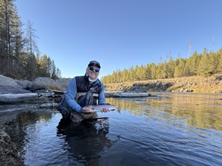 School-of-Trout