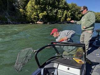 fly-fishing