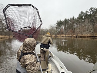 fly-fishing-Wisconsin