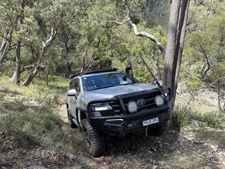 Australia-fly-fishing