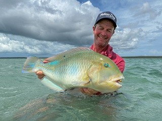 Currier-tuskfish-Australia