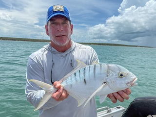 Neuman-golden-trevally