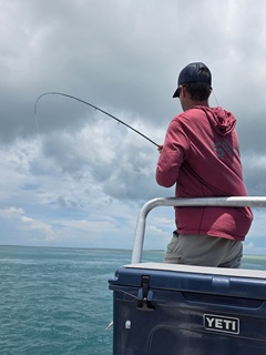 Currier-huge-queenfish