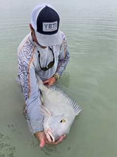 blue-bastard-Currier