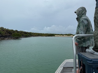 flyfishing-blue-bastards