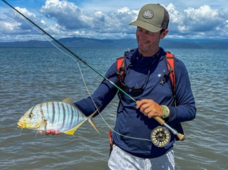 Currier-golden-trevally