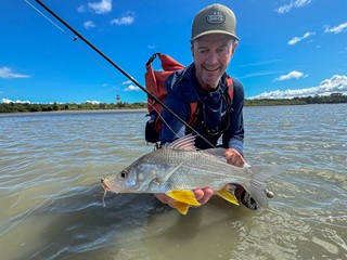 Yellow-snook-Currier