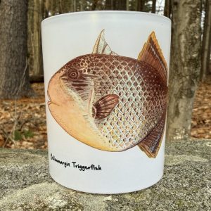 Yellowmargin Triggerfish | Whiskey Glass