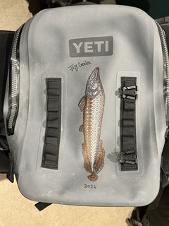 Yeti-Backpack-art-Currier