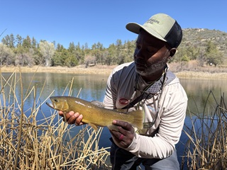 Gila-Trout-Steve-Berry