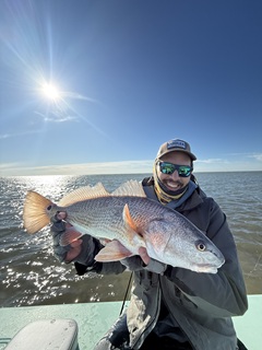 redfish-Iannacchione