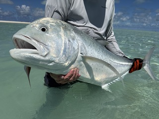 giant-trevally
