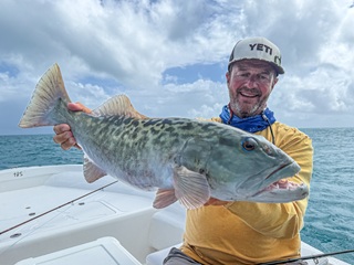 African-marbled-grouper