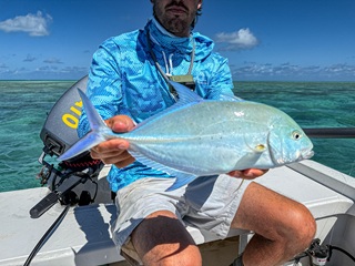 bluefin-trevally